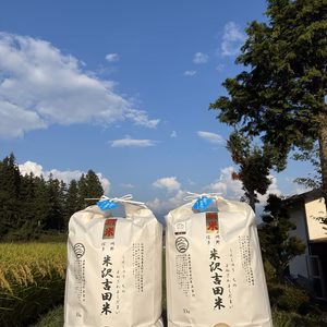 【新米】令和7年長野県産五百川「信州茅野米沢吉田米」精米20㎏(10kg×2袋）