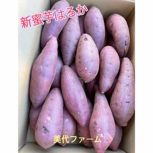【味見蜜芋】紅はるかA品3kg(S・M混合) 千葉県産農家直