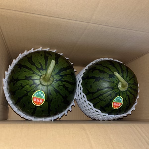 ⭐︎大人気⭐︎【産直で即完売！】2玉セット！！果汁量も多くジューシー
