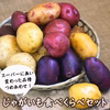 多品目栽培農家のユニーク旬野菜とじゃがいもつめあわせセット