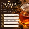 ＼PAPA CHA No.2／青パパイヤ酵素の王様ティー -パパイヤリーフ- 
