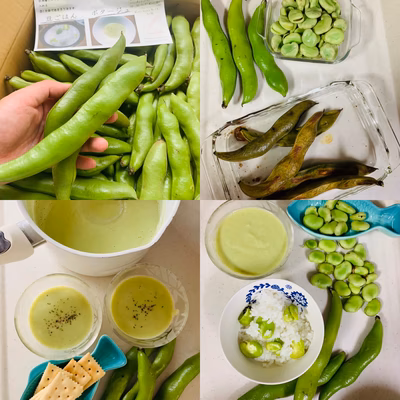 みんなの投稿の画像