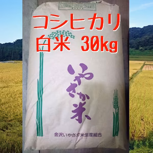 コシヒカリ 白米 30kg【R６年産】金沢いやさか米