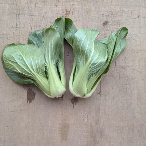 【栽培期間中農薬不使用】旨味菜〜小松菜とチンゲンサイのいいとこ取り〜