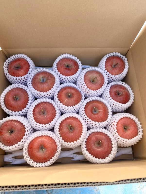 信州安曇野産　サンふじ　【贈答落ち】