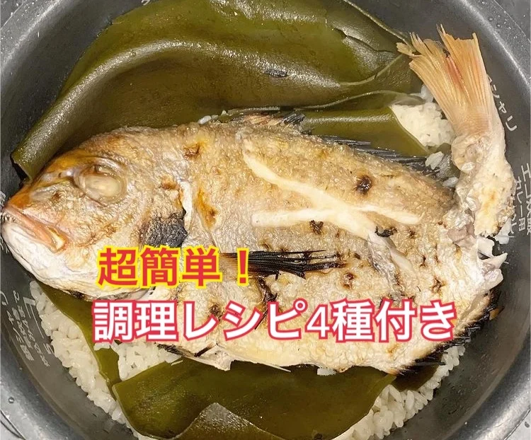 天然鯛★処理済み冷凍（サイズ色々あります♪）