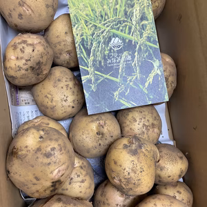 【無農薬栽培】黒土の豊かな大地で育った''きたあかり''（おまけ付き！）