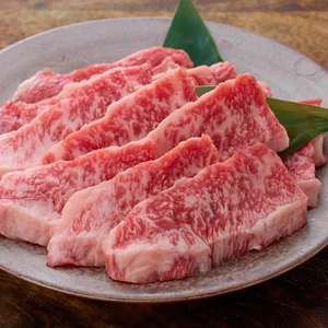 【たっぷり大容量】鳥取和牛 カルビ 焼肉1kg