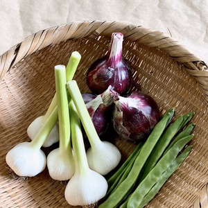 お料理上手さんの為の採れたてニンニクと仲間たち(๑>◡<๑)