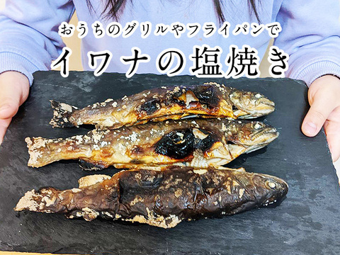 おうちで塩焼き 深瀬イワナ5尾セット 石川県産 冷凍 養殖 内臓処理済み 農家漁師から産地直送の通販 ポケットマルシェ