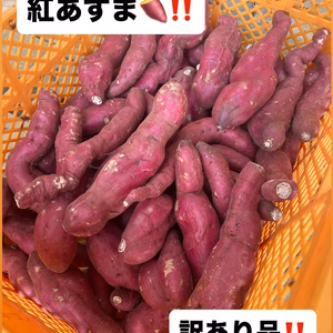 紅あずま･10kg箱‼️ 2組限定‼️ B･C品