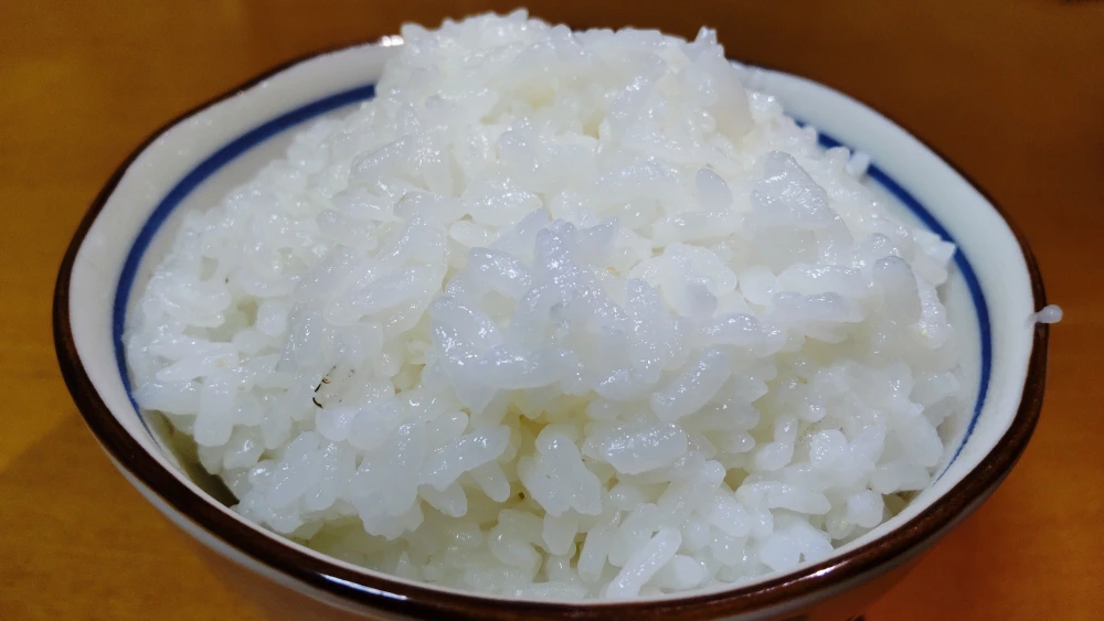 お米 令和3年9月収穫 伊豆市産きぬひかり 格安で