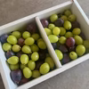 ピオーネ×シャインマスカット　粒BOX