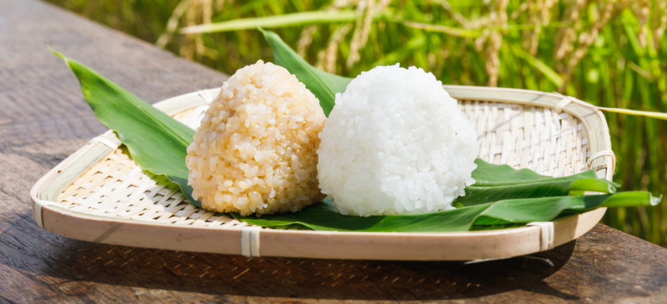 新米】令和7年産特別栽培米はえぬき玄米5㎏2袋｜玄米の商品詳細