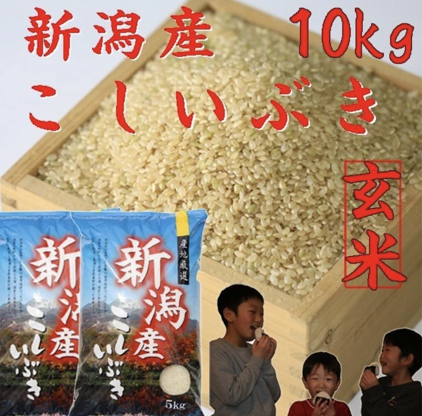 [新米]    新潟県産　こしいぶき10kg(玄米)    　令和5年産