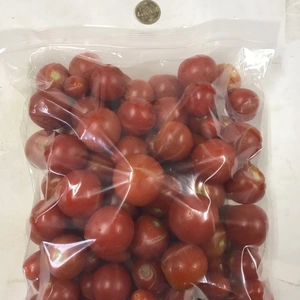 冷凍ミニ・中玉トマト4kg◆ソースやペースト作りに！