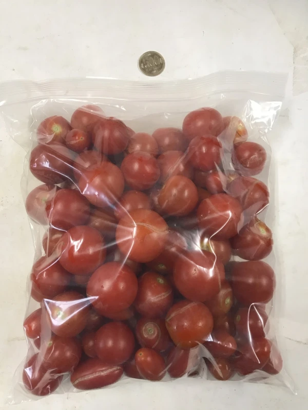 冷凍ミニ・中玉トマト8kg◆ソースやペースト作りに！