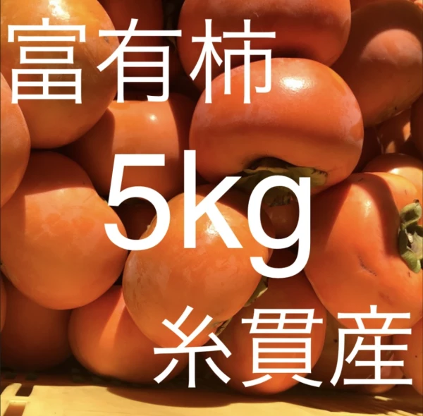 甘さあふれる‼️富有柿5kg詰め合わせ⭐️産地直送