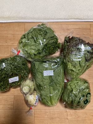 みんなの投稿の画像