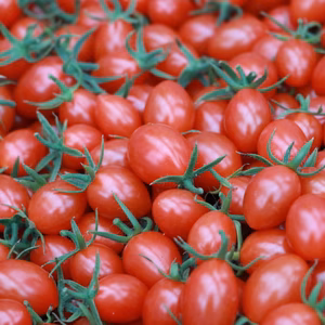 【たくさん買ってお買い得】大人気ミニトマトスピカ