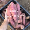 【訳あり】焼き芋好きが作るねっとり系品種「紅はるか」