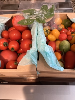 みんなの投稿の画像