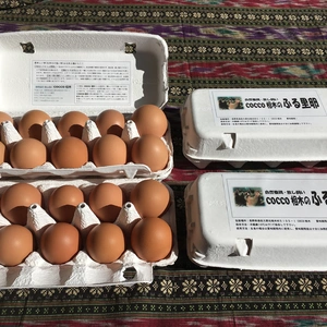 【月１回冷蔵】生食に最適！ 放し飼いの鶏が産んだ卵８０個入り