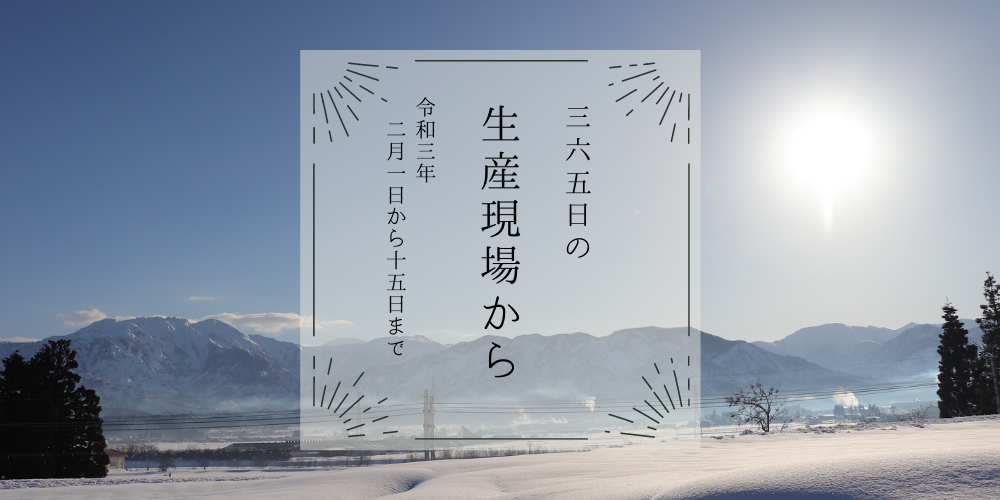 キャベツめっちゃ大きくなってる😳2月上旬の生産現場から | 農家漁師