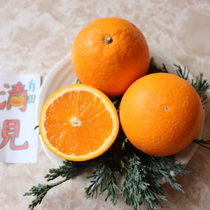 うちの春もの『清美オレンジ』( •̀∀•́)۶