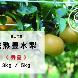 白山市産 完熟豊水梨 【秀品（贈答用）】