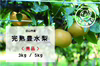 白山市産 完熟豊水梨 【秀品（贈答用）】