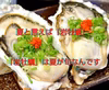 【夏限定】からふさ岩牡蠣・シーズン到来！贈答用・お中元・ご家庭用にいかがですか✨