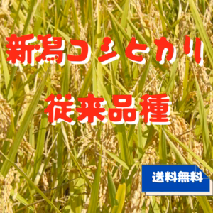 今だけ特別価格！希少な 従来品種！新潟県産 コシヒカリ <送料無料> こしひかり