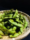【予約】丹波篠山の美味しい黒枝豆！1.2kg