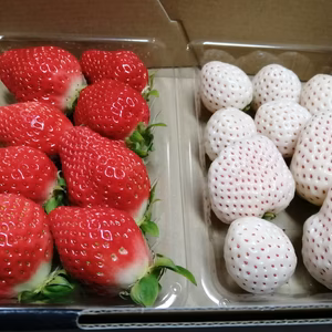 食べ応えあり。『希少な赤白いちご』