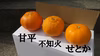 味見セット 甘平・不知火・せとか 各4玉ずつ　　