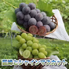 ～9/30発送終了　贈答用　巨峰とシャインマスカット　１キロ～　長野県産