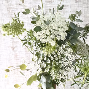【10本／レースフラワー】派手さはないけれど清楚で上品な花！プレゼント可能！