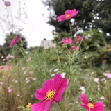 くもりのちはれ