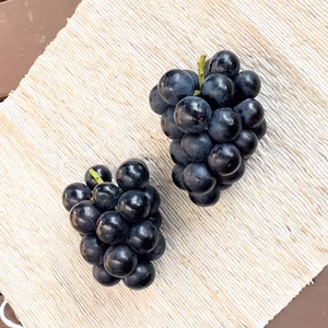 TN1.2C【ご家庭用】たっぷりナガノパープル1.2kg