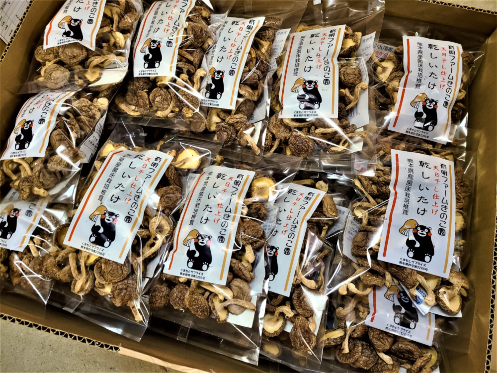 送料無料】熊本県産 菌床栽培 乾燥椎茸（小粒）40ｇ×1ケース（40袋入り