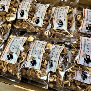 【送料無料】熊本県産 菌床栽培 乾燥椎茸（小粒）40ｇ×1ケース（40袋入り）
