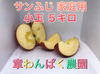 激安セール！　沖縄県に発送　送料込み　蜜入り　サンふじ　家庭用　小玉　長野県産