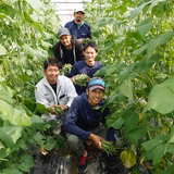 大城直樹 | みやぎ農園青果物出荷組合