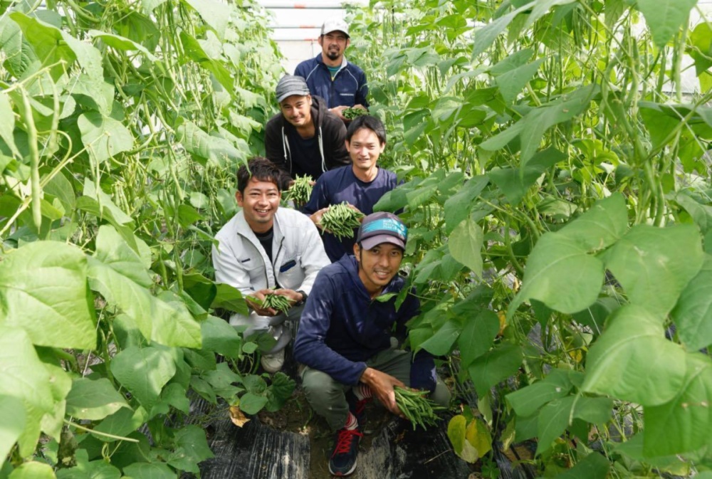 みやぎ農園青果物出荷組合の通販 大城直樹さん 農家漁師から産地直送の通販 ポケットマルシェ