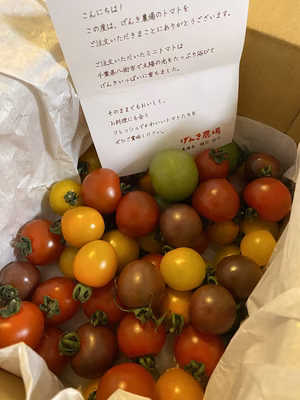 みんなの投稿の画像