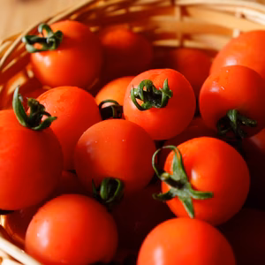 北海道産　あま～い仕上げ　ミニトマト千果