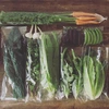 【クール・定期便】ちへいの野菜セット　毎月1回定期便