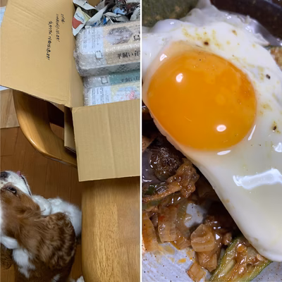 みんなの投稿の画像