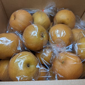 梨5L半額セール9.5kg